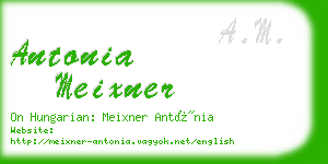 antonia meixner business card